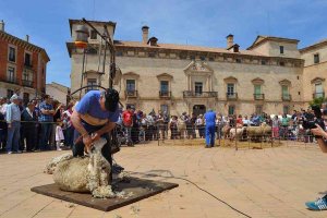 El PSOE urge a solicitar la declaración de Almazán como conjunto histórico artístico