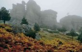 Duruelo, Medinaceli, Almazán y San Esteban mejoran en visitantes