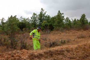 Junta y diputaciones presentan el Plan de Empleo Forestal Local