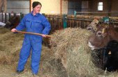 Un premio para reconocer las mejores ideas empresariales de las mujeres en medio rural