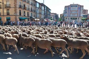 El historiador Máximo Diago explica la importancia de la mesta en Soria