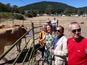 Barcones apuesta por la profesionalización del sector en feria ganadera de Vinuesa