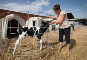 Subvenciones para facilitar el alta laboral de mujeres del medio rural