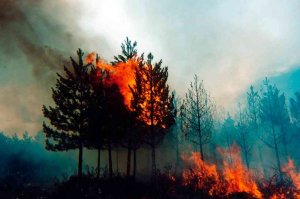 Situación meteorológica adversa, con peligro de incendios