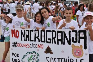 Cidones marcha contra la macrogranja porcina