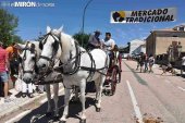 Cinco candidaturas optan al Premio Provincial de Turismo