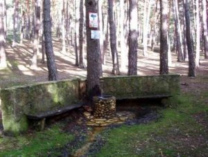 Un bosque de gnomos recreado en San Leonardo