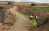 Las brigadas forestales de la Diputación actúan en 150 municipios