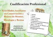 Curso sobre actividades auxiliares en micología y resina