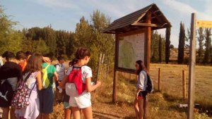 Quinientos niños recurren en verano a los recursos de ocio del Ayuntamiento