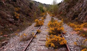 Soria retoma las reuniones para reabrir la Soria-Castejón