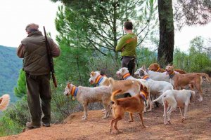 Desconvocada la huelga de rehaleros en Soria