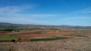 Herido grave el piloto de un parapente que se cayó en Portelrubio