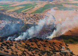 La Junta rebaja el riesgo de incendios forestales a peligro medio