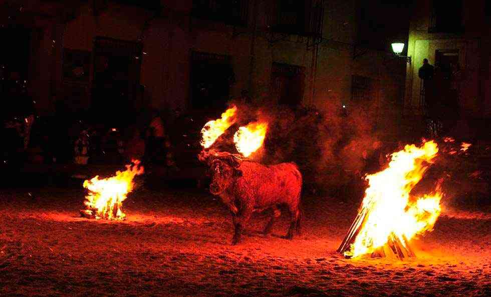 Medinaceli celebra el 10 de noviembre el toro jubilo Medinaceli celebra el 10 de noviembre el toro jubilo