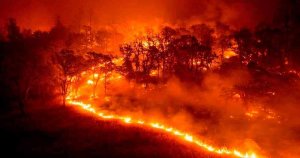 Continúa hasta el 11 de octubre el peligro medio de incendios forestales