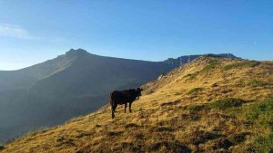 Descenso "extraordinario" de las temperaturas para el domingo