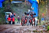 Ólvega acoge su V Trofeo de Mushing