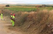 Las brigadas forestales limpian 173 áreas periurbanas en su cuarto mes de trabajo