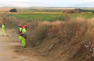 Las brigadas forestales limpian 173 áreas periurbanas en su cuarto mes de trabajo