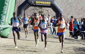El Campo a través de Soria celebra su XXV aniversario en categoría IAAF El Campo a través de Soria celebra su XXV aniversario en categoría IAAF