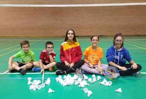 El Club Bádminton Valonsadero, a Alfajarín