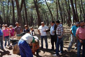 Tardelcuende analiza los retos de la innovación en mecanización de resinación