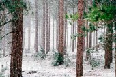 Descenso brusco de las temperaturas para despedir octubre