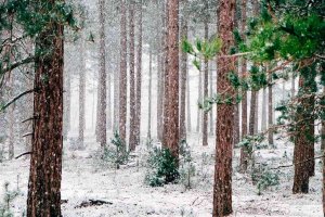 Descenso brusco de las temperaturas para despedir octubre