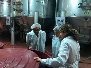 Rey conoce el proceso de ampliación de Bodegas Gormaz