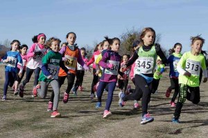 Abiertas las inscripciones para el Campo a través de Soria  