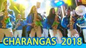 Video resumen de la V concentración de charangas en San Esteban Video resumen de la V concentración de charangas en San Esteban