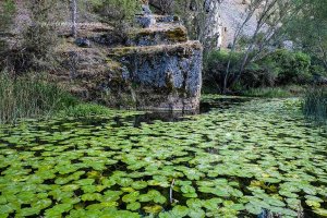 La Junta promociona en Madrid el turismo de naturaleza