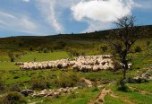 Tierras Altas vuelve a seguir la estela del tiempo