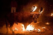 Campaña de concienciación contra el toro jubilo en el campus