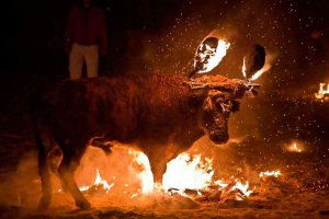 Campaña de concienciación contra el toro jubilo en el campus Campaña de concienciación contra el toro jubilo en el campus