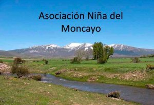 Día de la Socia en la asociación Niña del Moncayo