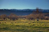 El Valle de la Mantequilla se posiciona como marca turística