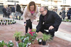 Barcones invita a plantarle cara al machismo