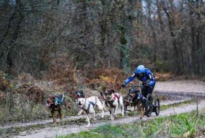 Jorge García, plata en el Campeonato de España de mushing de tierra