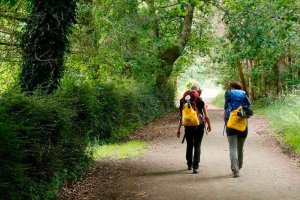 Recicladas 65 toneladas de envases en el Camino de Santiago