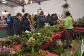 Oncala celebra su XI Feria del Acebo y adorno navideño