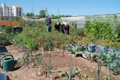 Abierto el plazo para optar a los huertos municipales ecológicos