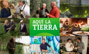 El cardo rojo de Ágreda, en el programa televisivo "Aquí la Tierra"