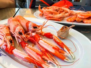 La Navidad más cara con el marisco y el pescado