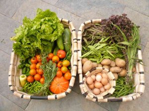 La cesta de la compra ecológica es el doble de cara que la normal 