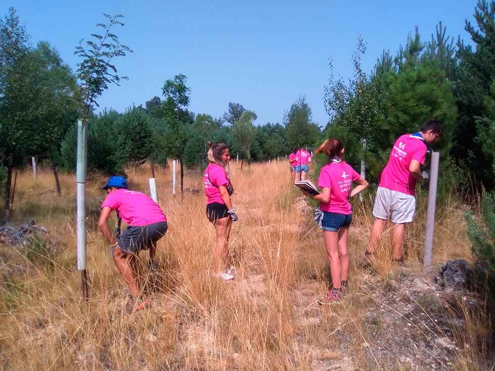 Aumentan un 44 por ciento los voluntarios ambientales en la Comunidad Aumentan un 44 por ciento los voluntarios ambientales en la Comunidad