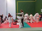 Campeonato regional de Edad y provincial de judo