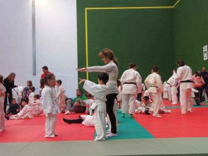 Campeonato regional de Edad y provincial de judo