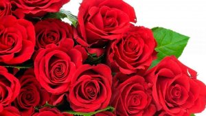 Los regalos más comunes en San Valentín Los regalos más comunes en San Valentín